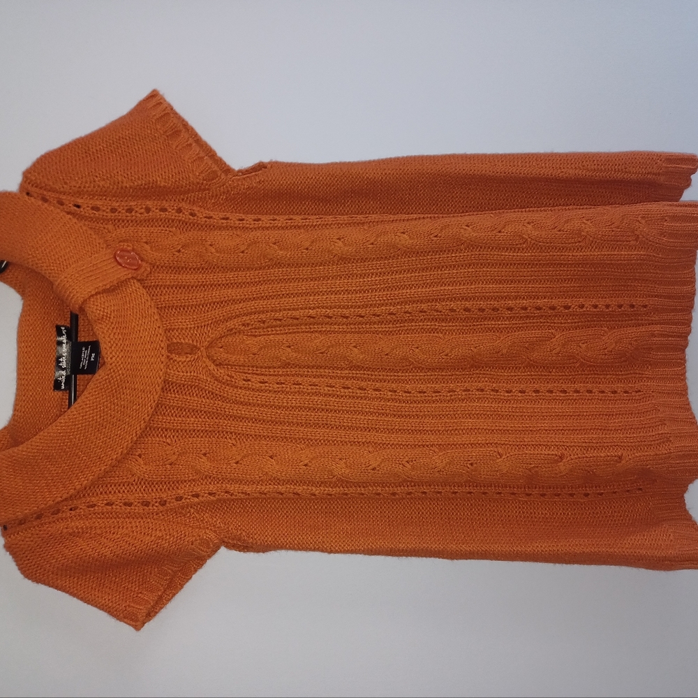 Burnt Orange Short Sleeve Sweater